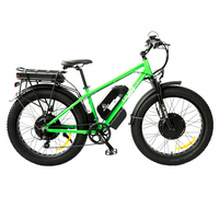 Elbike Phantom Twix 2000 (Зеленый)