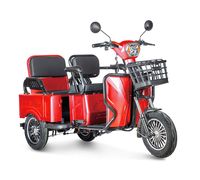 Gelbert Tuban 48V/60V 600Вт (красный)