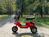 Электротрицикл TRION Partner NOVA [без АКБ] - Фото 1