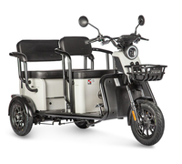 Wanshida LC300 (серый)